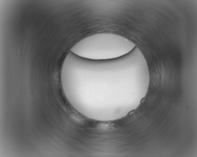 X0000069830375200605190948