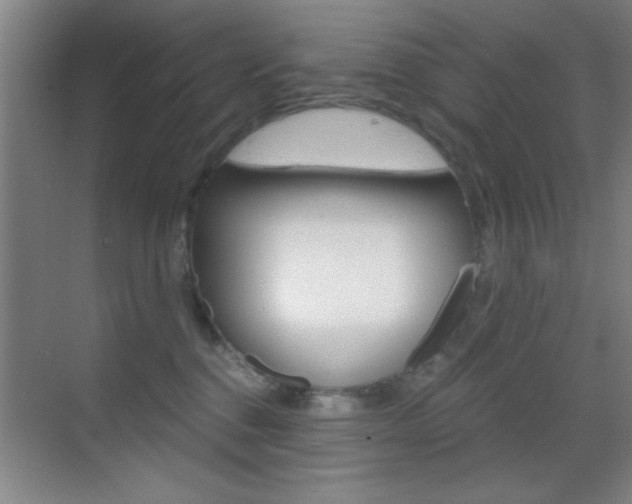 X0000069830376200605190948