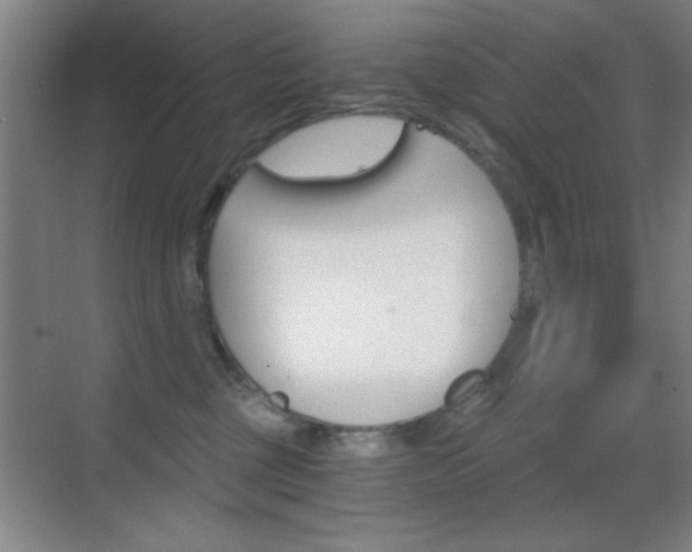 X0000069830377200605190948