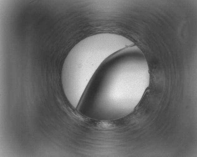 X0000069830380200605190948