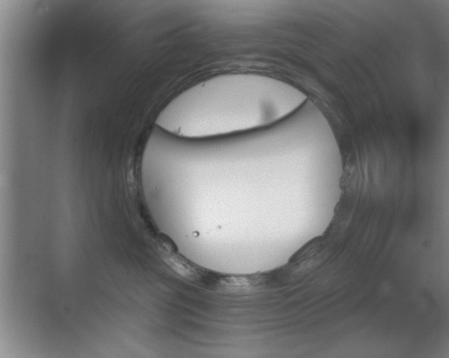 X0000069830381200605190948