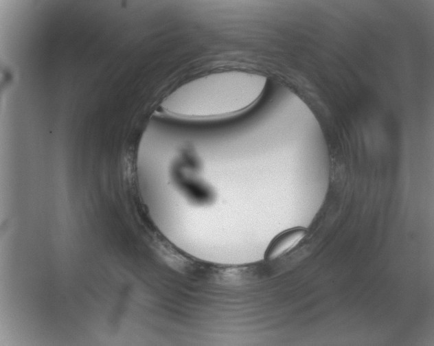 X0000069830382200605190948