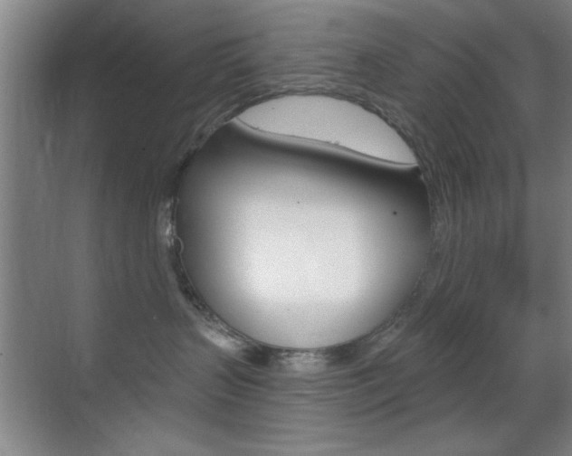 X0000069830383200605190948