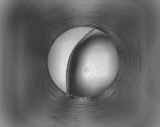 X0000069830384200605190948