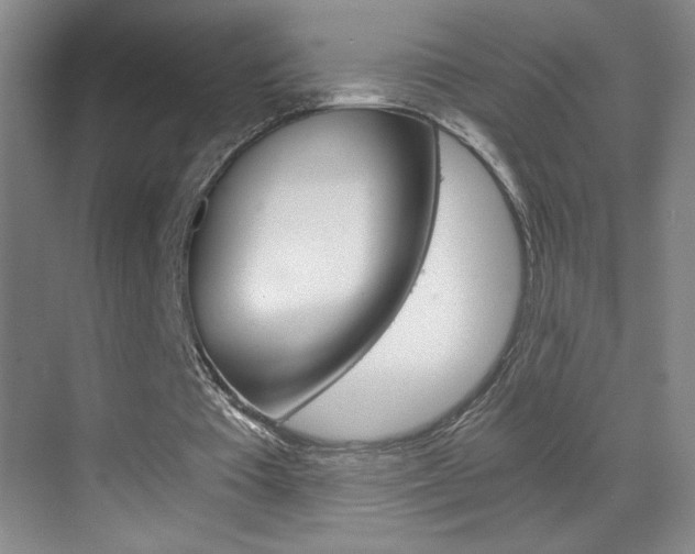 X0000069830385200605190947