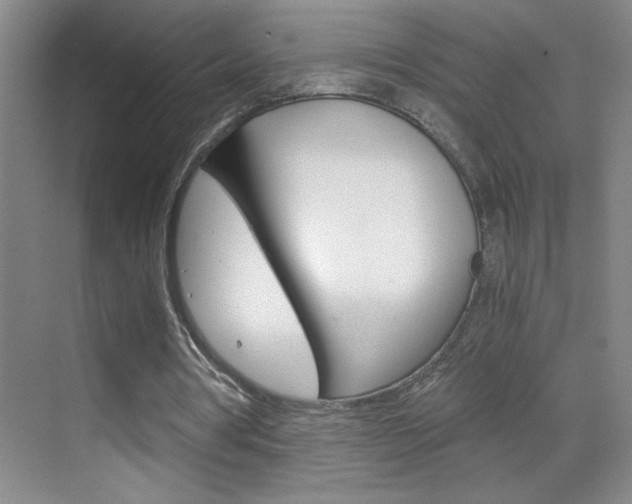 X0000069830386200605190947