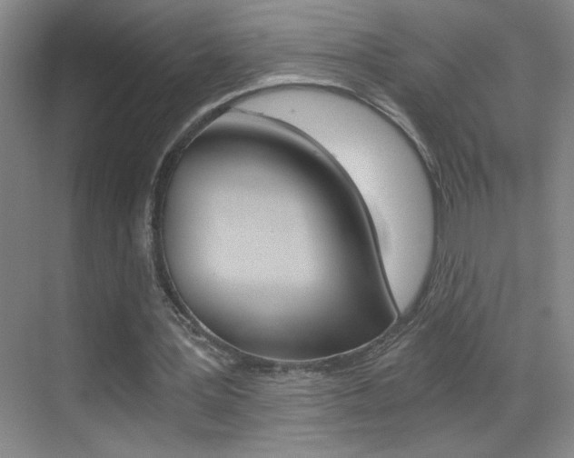 X0000069830387200605190947