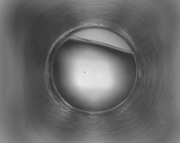 X0000069830388200605190947