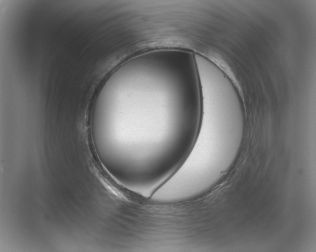 X0000069830389200605190947