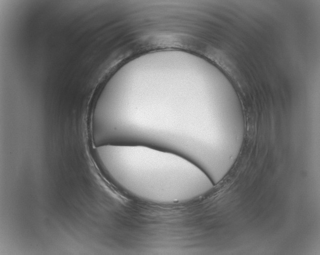 X0000069830390200605190947