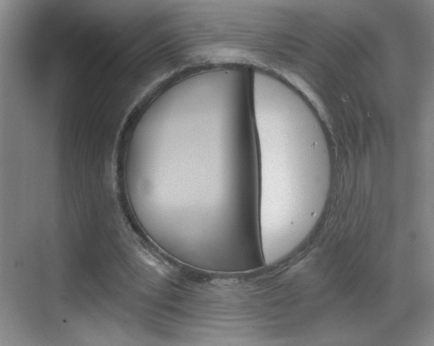 X0000069830391200605190947