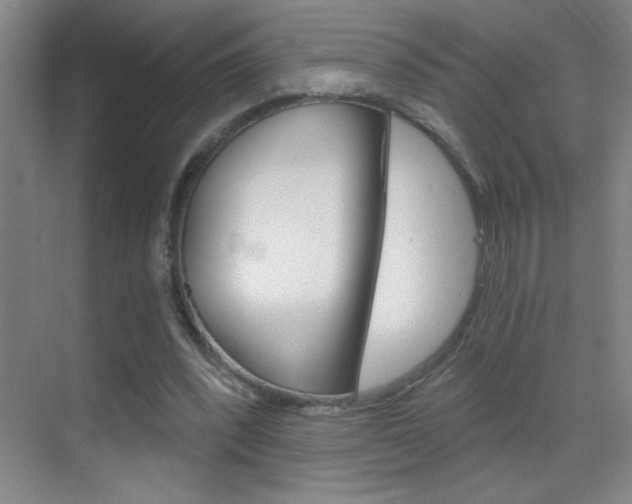 X0000069830392200605190947