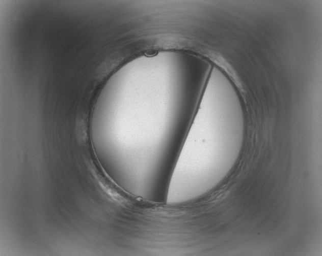 X0000069830393200605190947