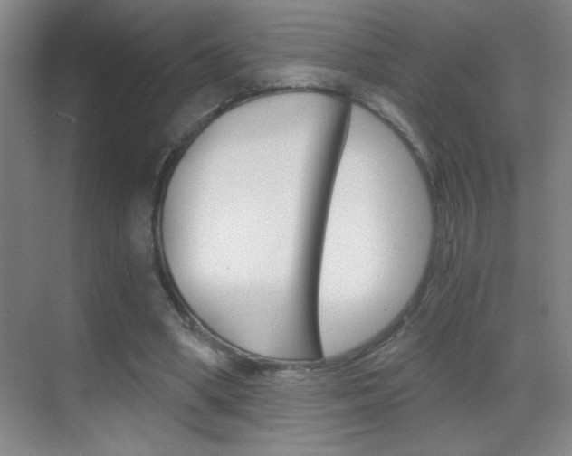 X0000069830394200605190947