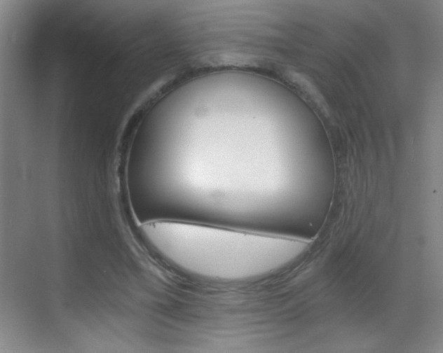 X0000069830395200605190947