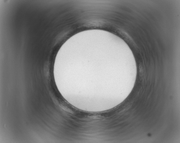 X0000069830396200605190947