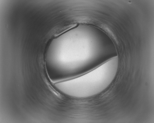 X0000069830397200605190947