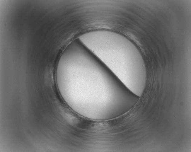 X0000069830398200605190947