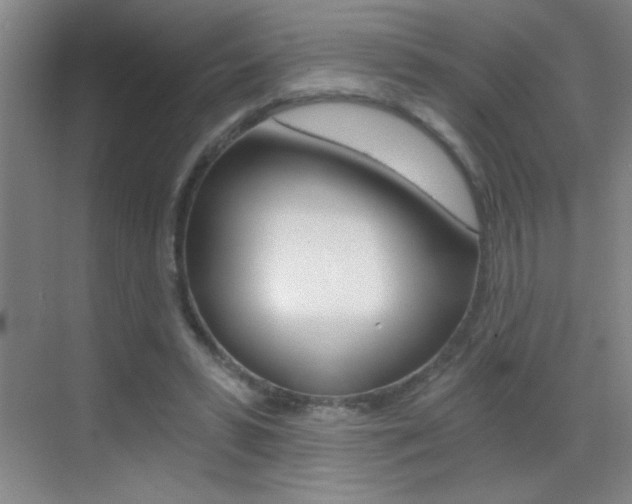 X0000069830399200605190947