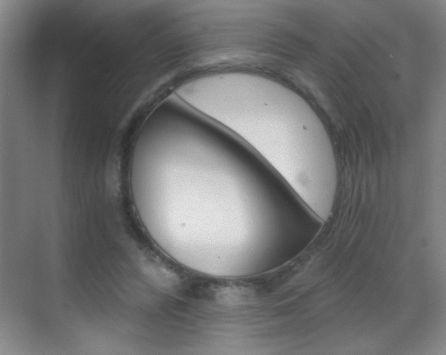 X0000069830400200605190947