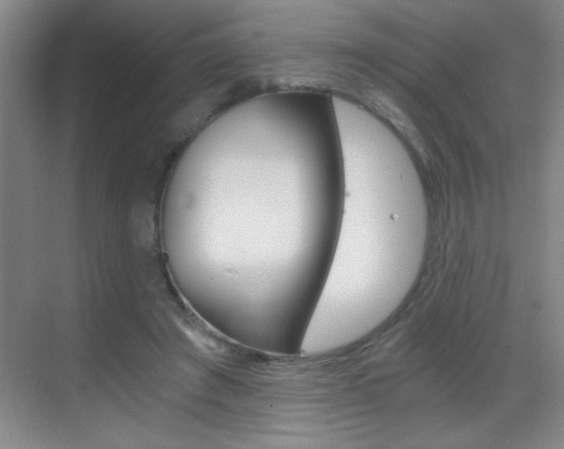 X0000069830401200605190947