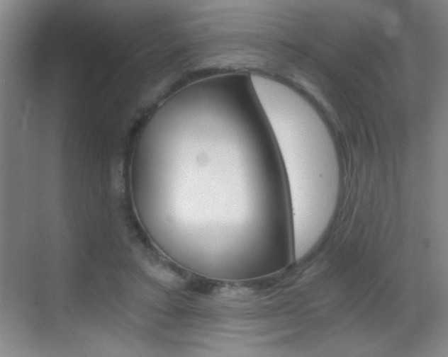 X0000069830403200605190947