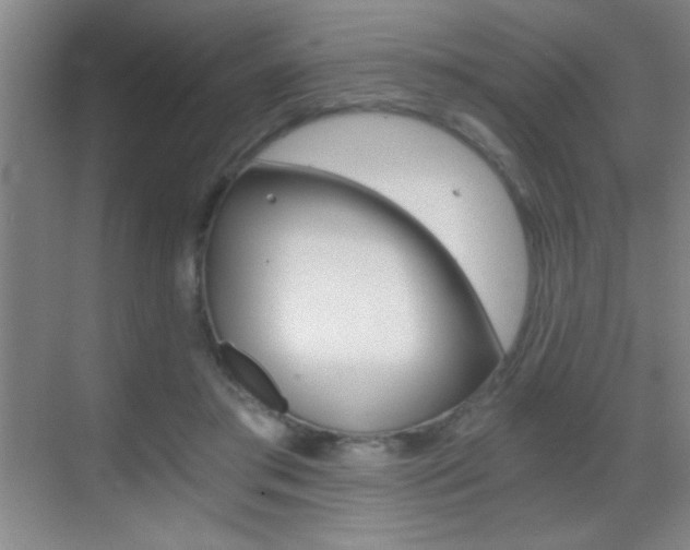 X0000069830405200605190947