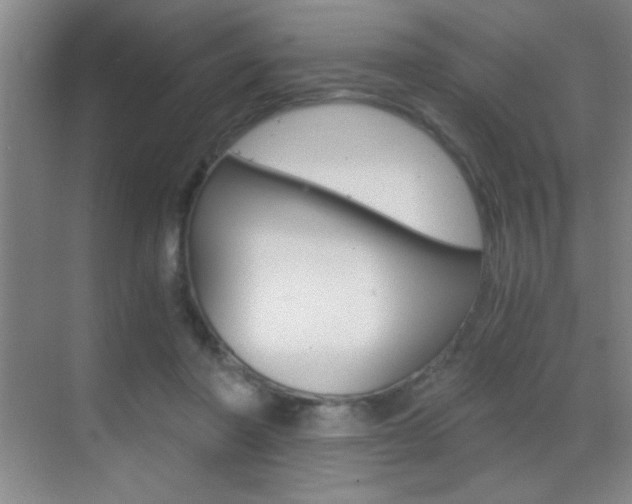 X0000069830406200605190947