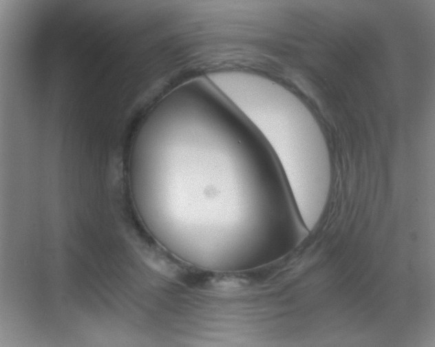 X0000069830407200605190947