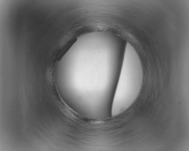 X0000069830409200605190947