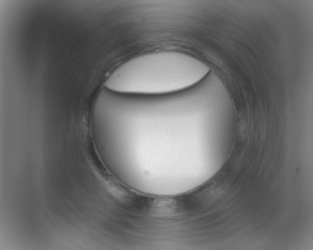 X0000069830410200605190947