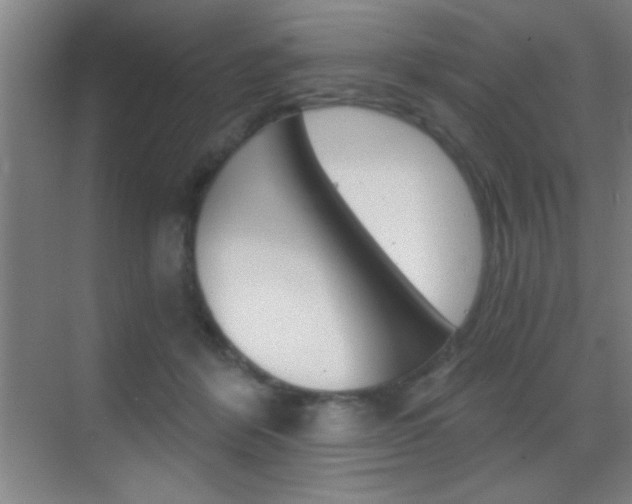 X0000069830412200605190947