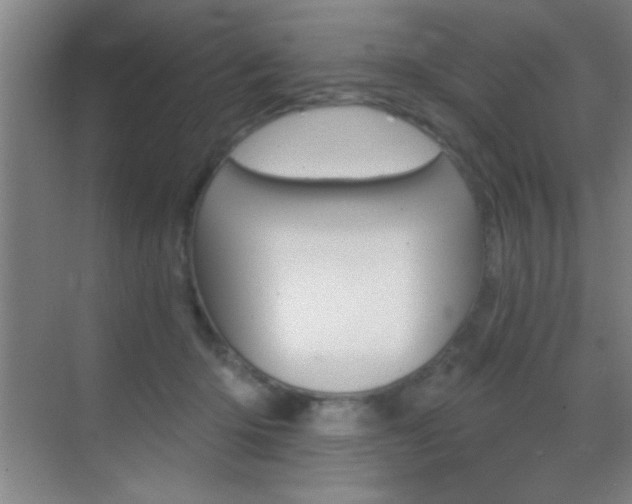 X0000069830414200605190947