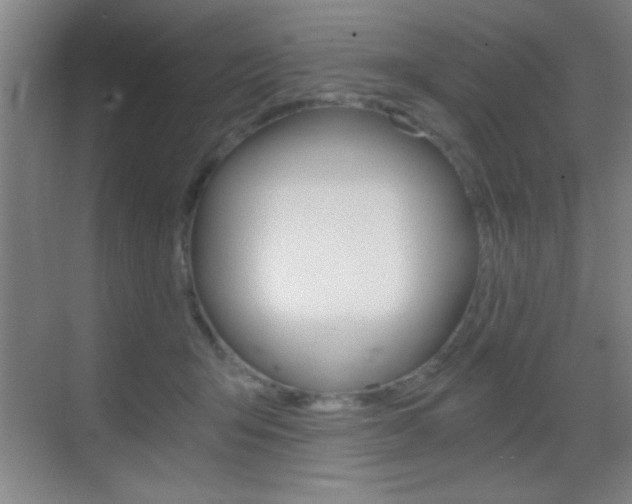 X0000069830415200605190947