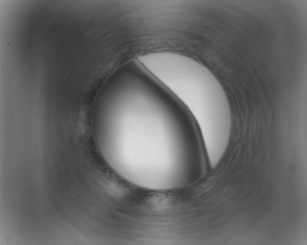 X0000069830416200605190947