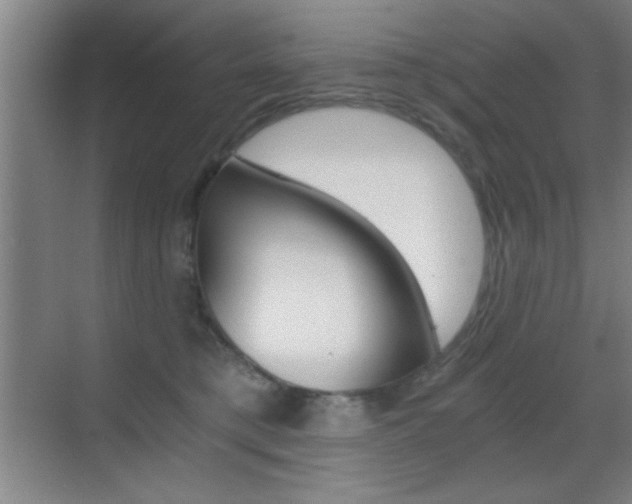 X0000069830421200605190947