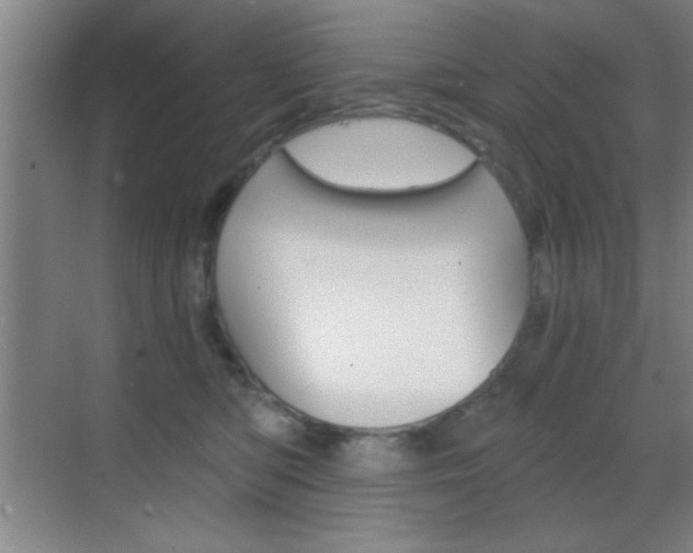 X0000069830422200605190947