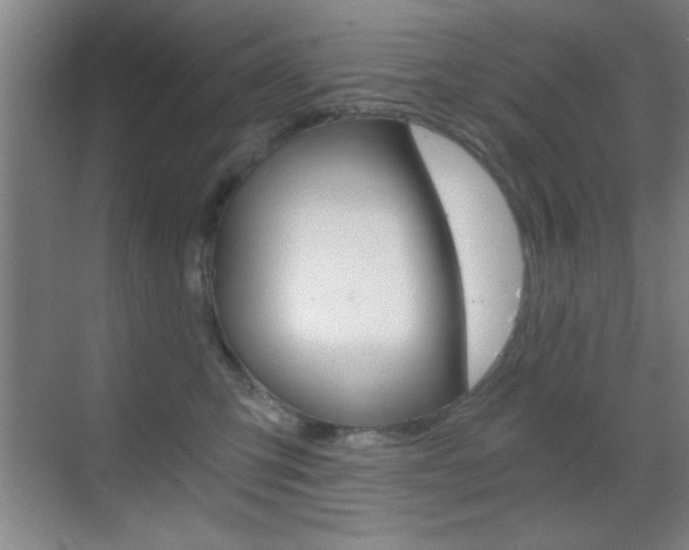 X0000069830423200605190947