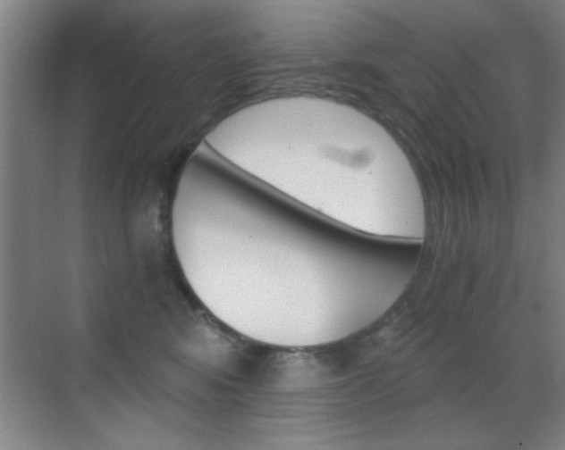 X0000069830424200605190947