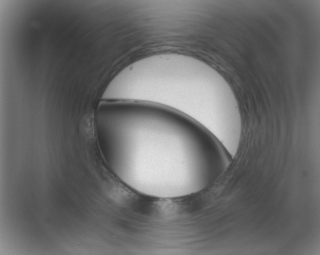 X0000069830425200605190947