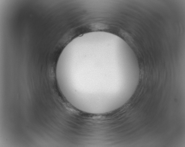 X0000069830426200605190947