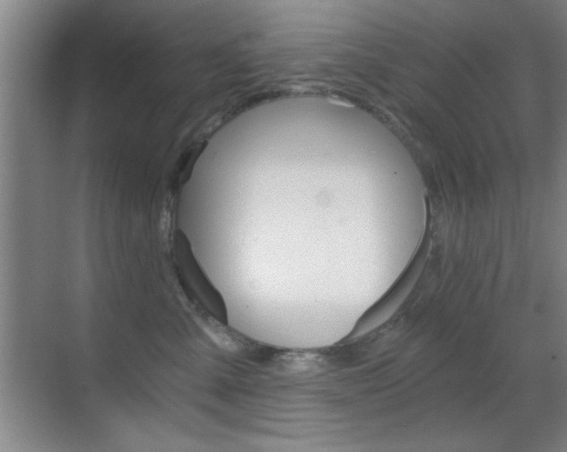 X0000069830427200605190947