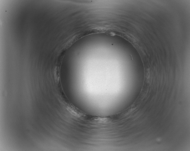 X0000069830428200605190947