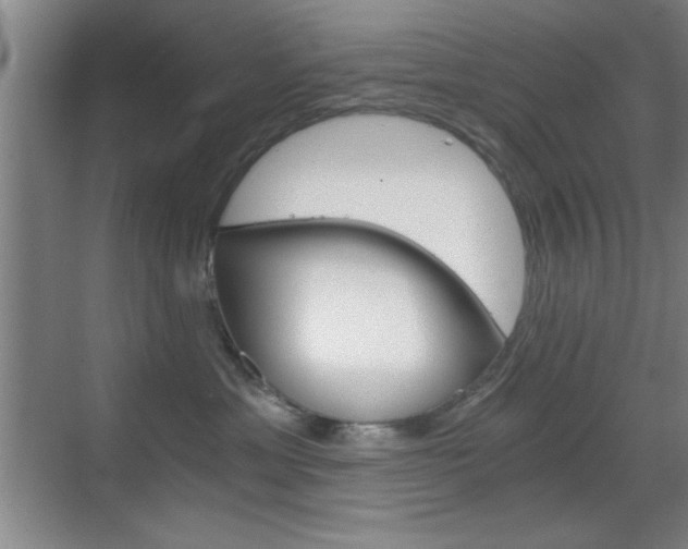 X0000069830429200605190947