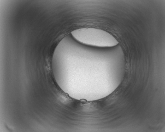 X0000069830430200605190947