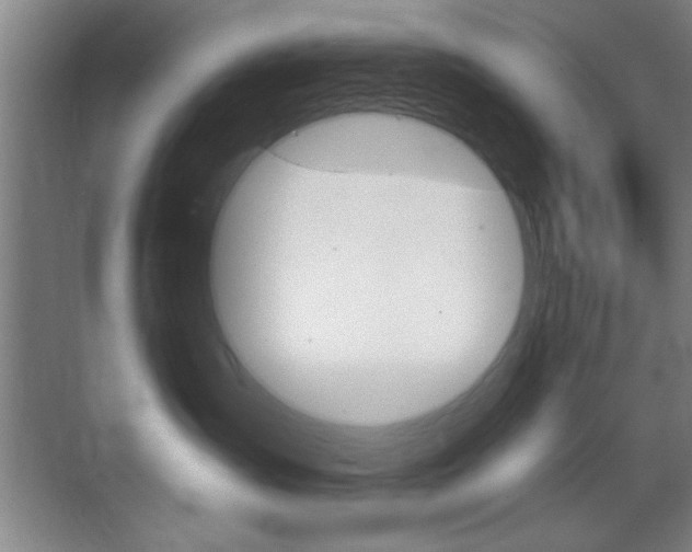 X0000069830431200605190947