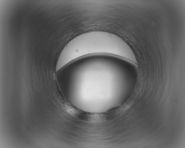 X0000069830432200605190947