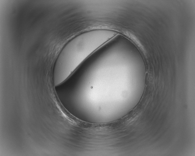 X0000069830433200605190946