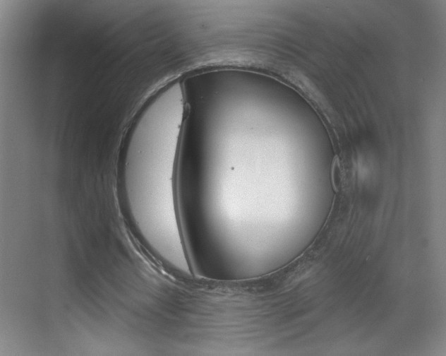 X0000069830434200605190946