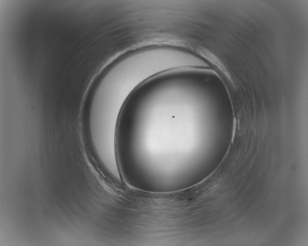 X0000069830436200605190946